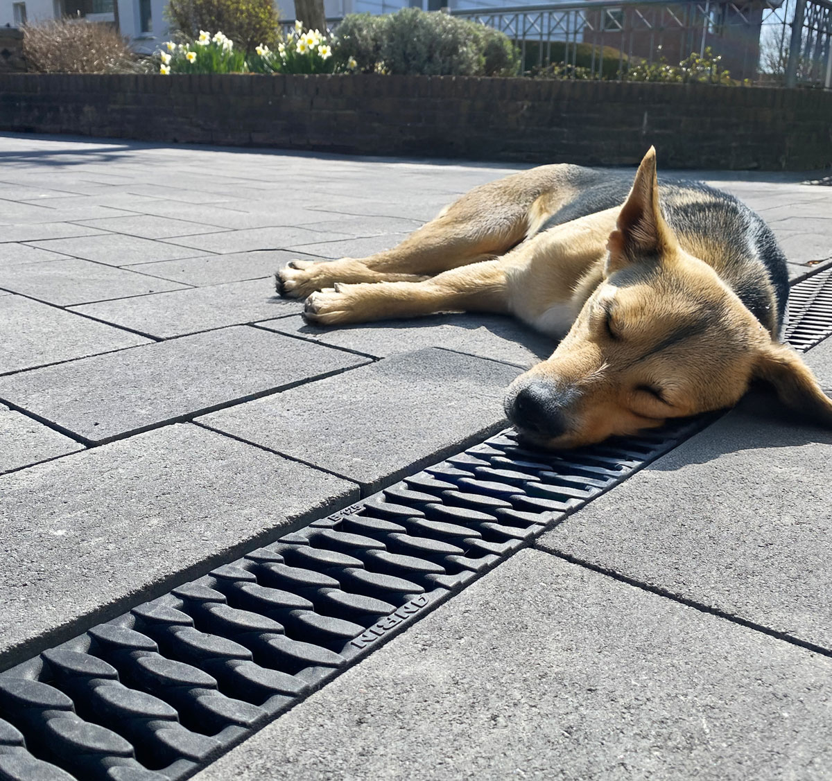 ANRIN SELF Drainage system