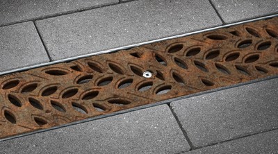 Headerbild Designrost FLORA