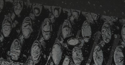 Millions of meters of drainage systems have been laid with our products. With this enormous surface area, we not only have an influence on design but also bear a high degree of responsibility for the living spaces that surround us. We set the tone w…